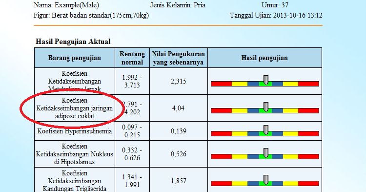 Indikator prediksi forex jaringan saraf
