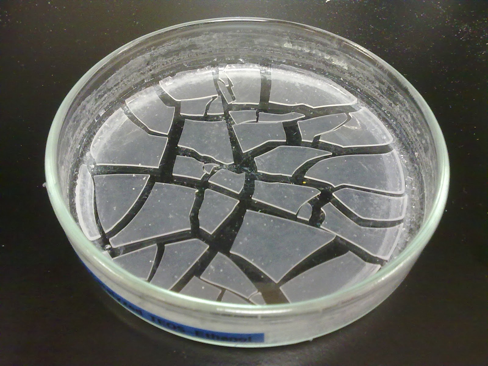 Dunmore Cave Notes on Opacity