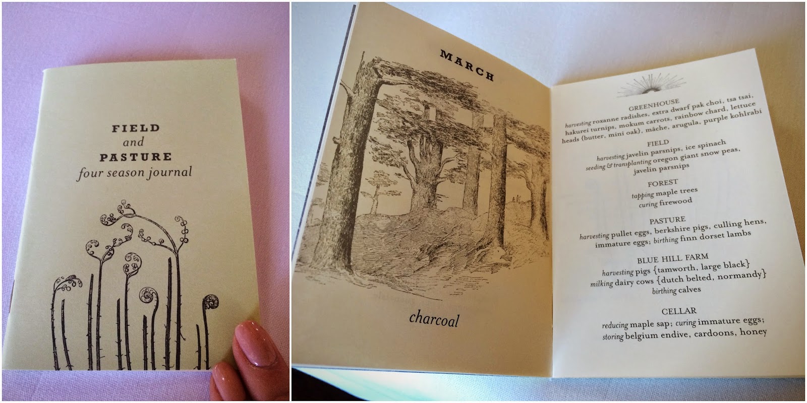 P is for Pecking, Grazing and Rooting {Blue Hill at Stone Barns