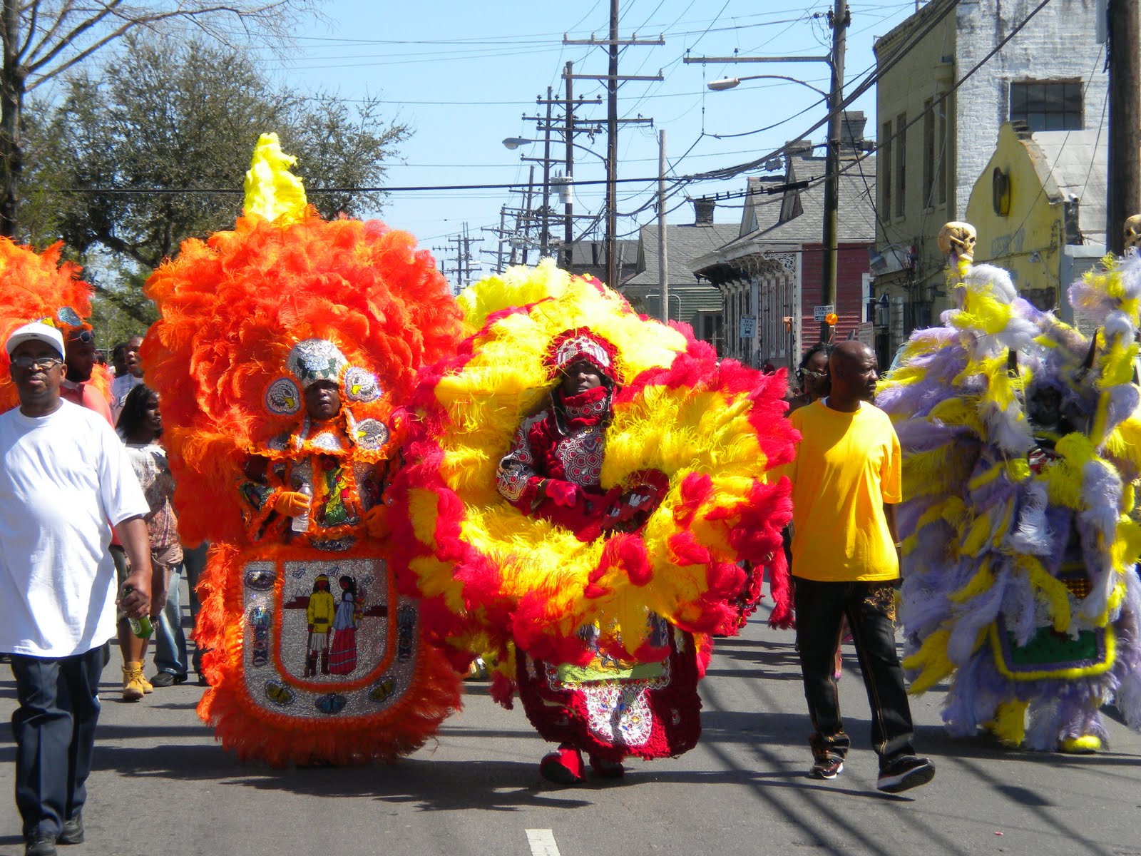 what are some traditions of mardi gras