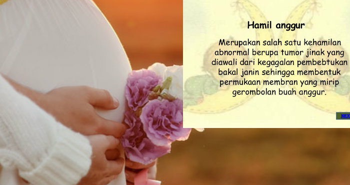 Hamil Anggur atau Hamil Kosong Hamil Anggur atau Hamil Kosong