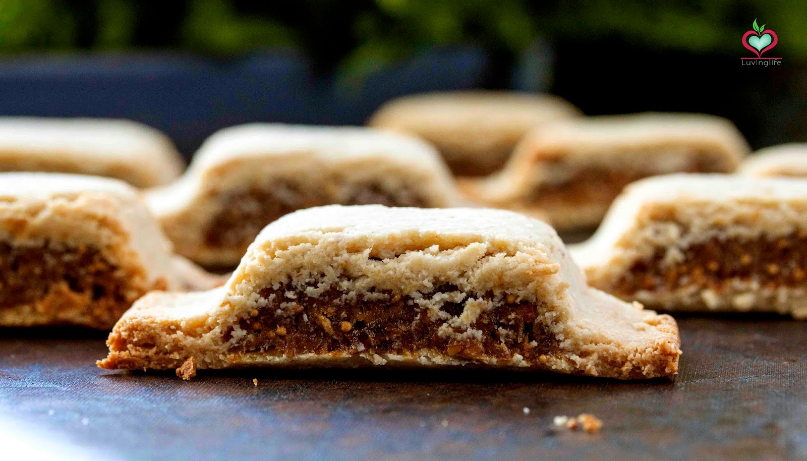 Fig Newtons ala healthy! Grain free, gluten free and vegan