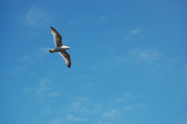 Blue Sky Wallpapers and pictures- Fullfunplace