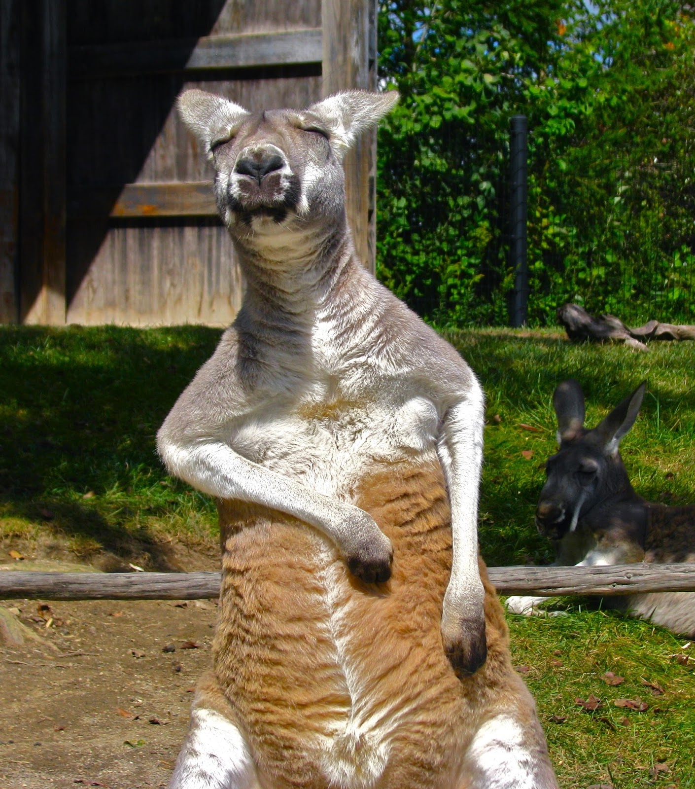 Cbus52 Columbus in a Year Columbus Zoo and Aquarium