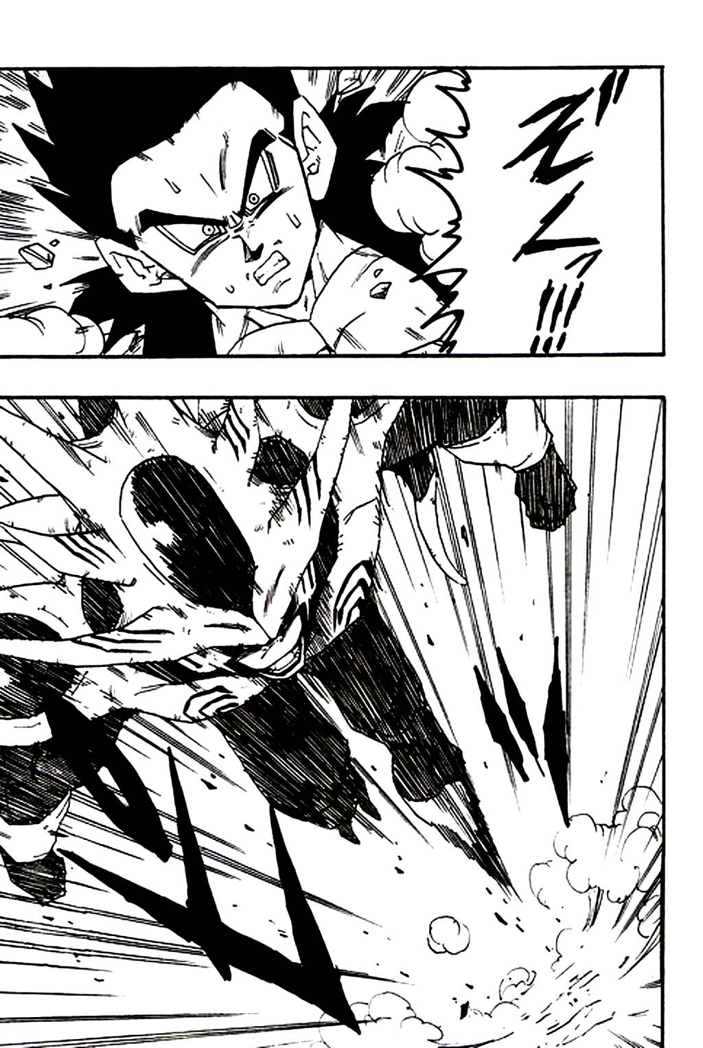 DRAGON BALL AF YOUNG JIJIIS Chap 3 - Next Chap 4-img20