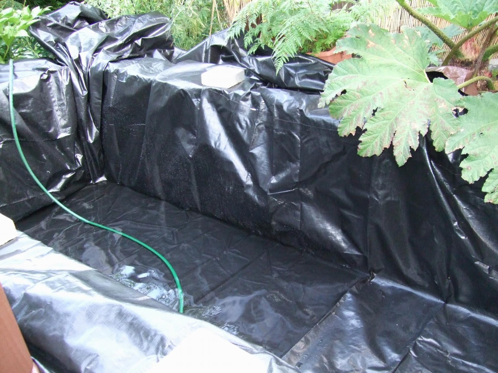 Alternative Eden Exotic Garden The Prequel Pond