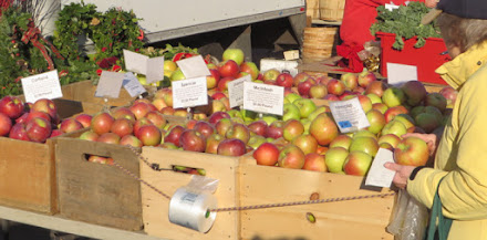 Apples for sale Apples for sale