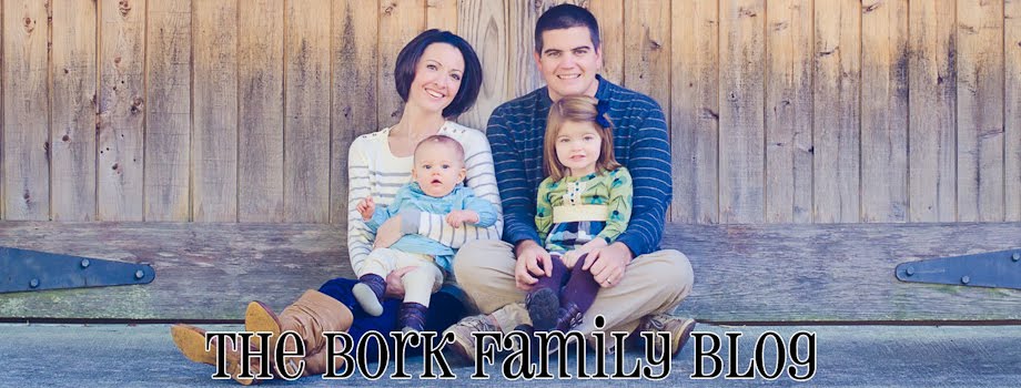 The Bork Family Blog