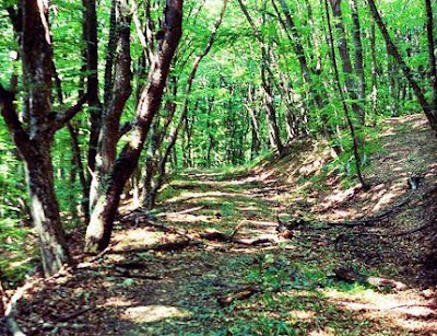 Забытая дорога из Орталана Забытая дорога из Орталана