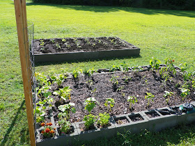 A little bit of this and that: Raised bed for vegetable garden