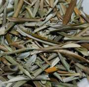 Chá Chá de Oliveira