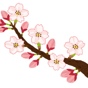 桜の開花のイラスト（ソメイヨシノ）