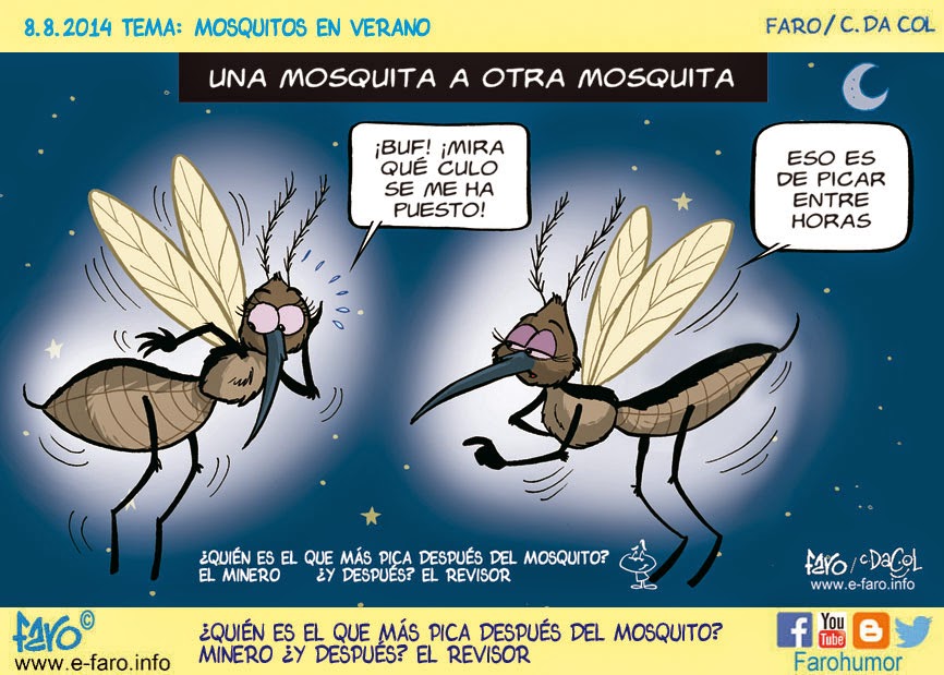 _mosquitas_mosquitos-picar-entre-horas-culo-gordo