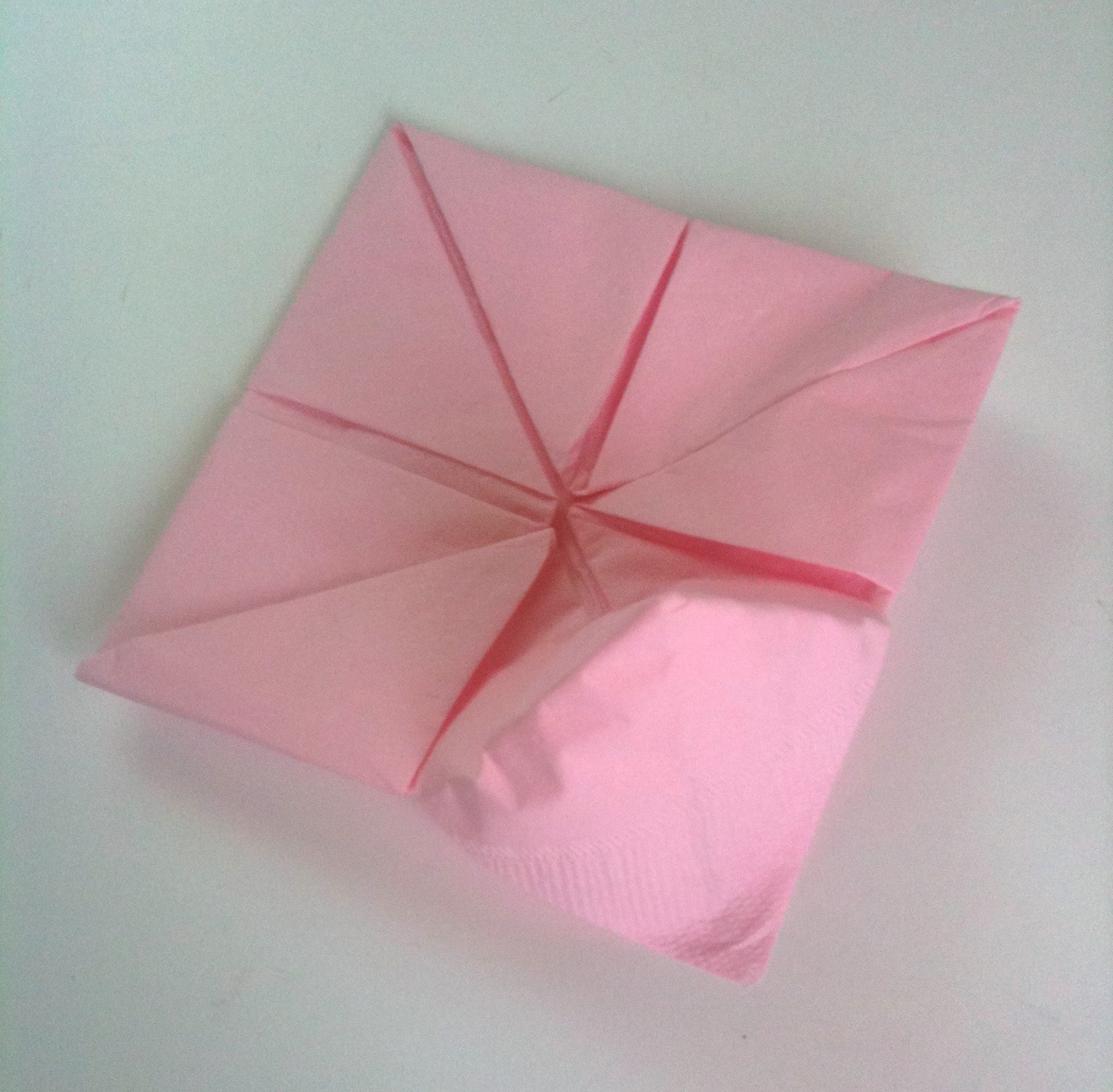 Daisy Celebrates Lotus Flower Napkin Fold