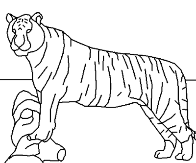 Tiger Coloring Pages