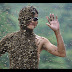 Bee-Wearing Contest In China