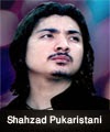 http://www.humaliwalayazadar.com/2015/04/shahzad-pukaristani-nohay-2011-to-2016.html