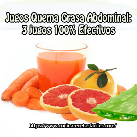 Recetas fáciles: Jugos quema grasa abdominal : 3 jugos 100 Recetas fáciles: Jugos quema grasa abdominal : 3 jugos 100