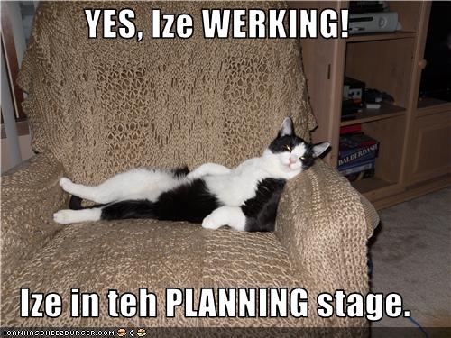 Dissertation on lolcats