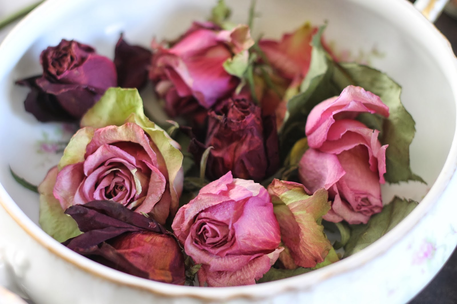 Where Your Treasure Is Rose Potpourri