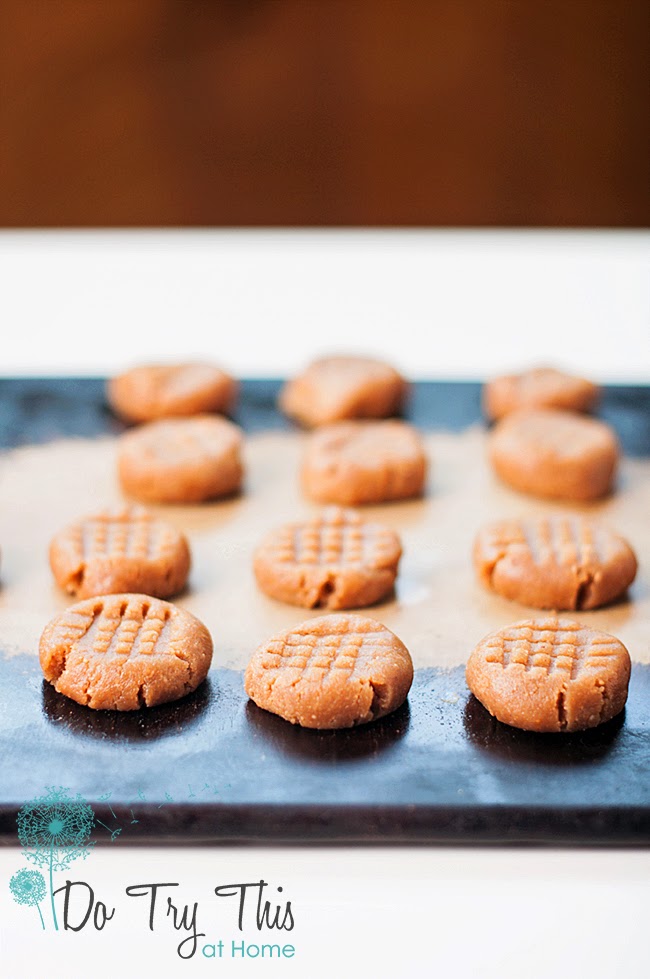 Mrs. Feemehn's Gluten Free Super Easy Passover Peanut Butter Cookies Do Try This at Home Mrs