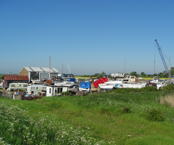 boat yard car park birds birdwatching and birding trips a little purring at boat yard car park birds birdwatching and birding trips a little purring at