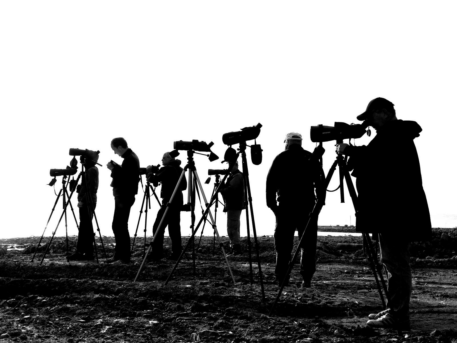 Birdwatchers by Ståle Prestøy Birdwatchers by Ståle Prestøy