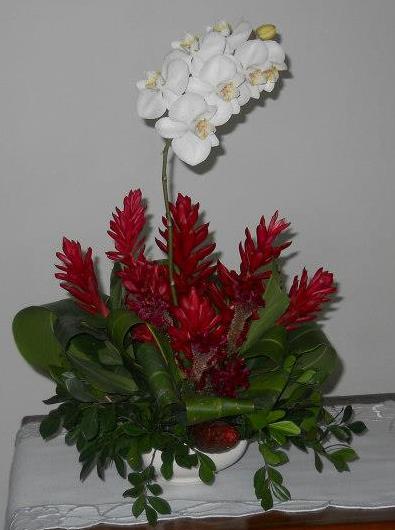 Compartilhar No Twitter Compartilhar No Facebook Compartilhar No Compartilhar No Twitter Compartilhar No Facebook Compartilhar No