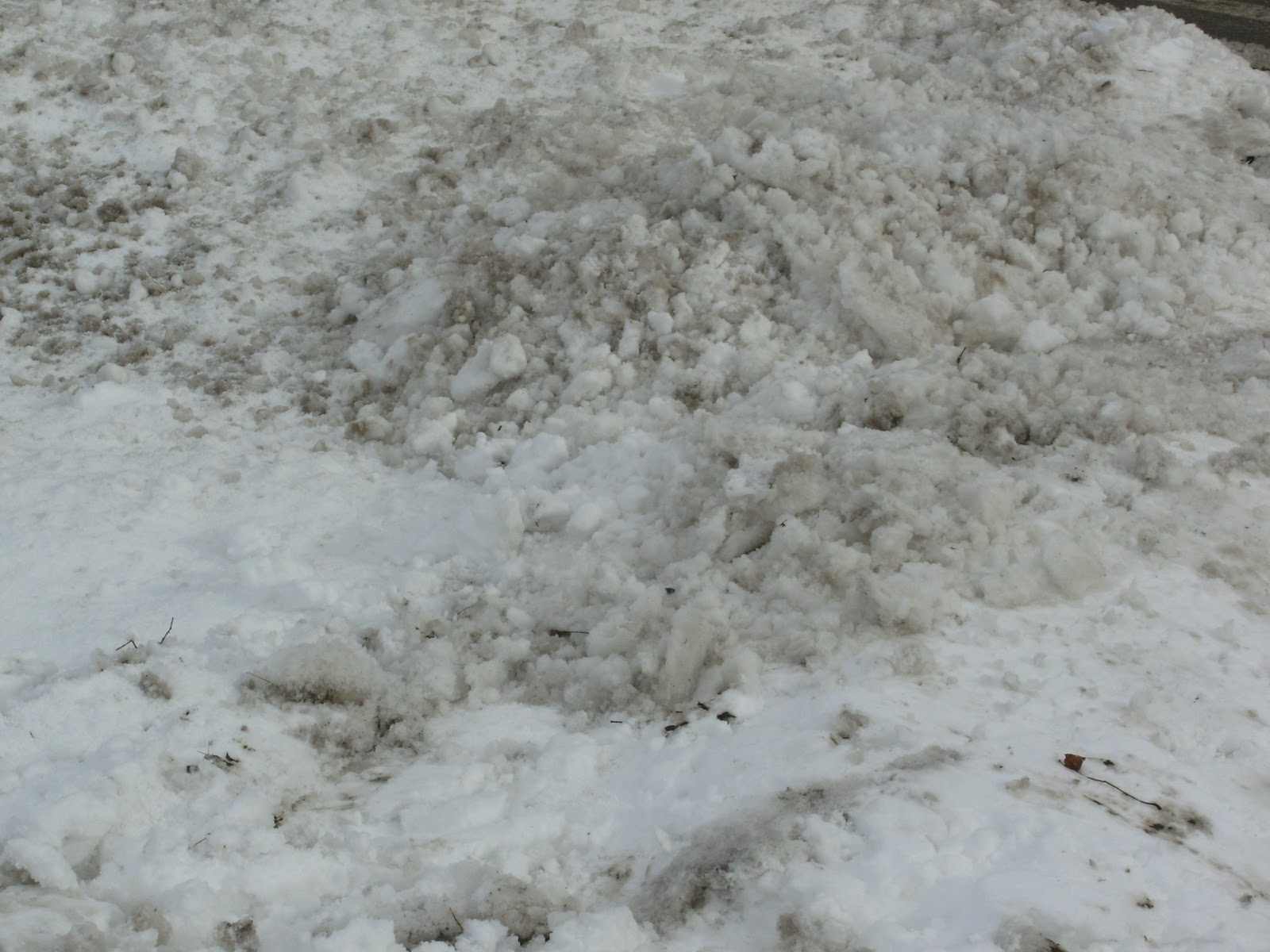 Confessions of a Grandma: Sun and Snow