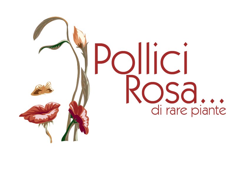 Pollici Rosa... di rare piante
