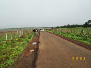 "Kaas Plateau " road with Wild flowers on either side.Same barricaded.