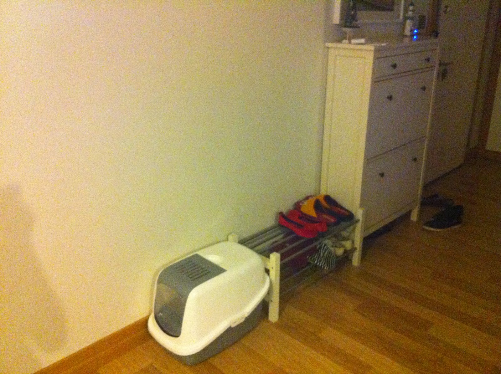 Miskin Kedi Geçen Hafta Ben ve Kedi Tuvaletinin Yeri