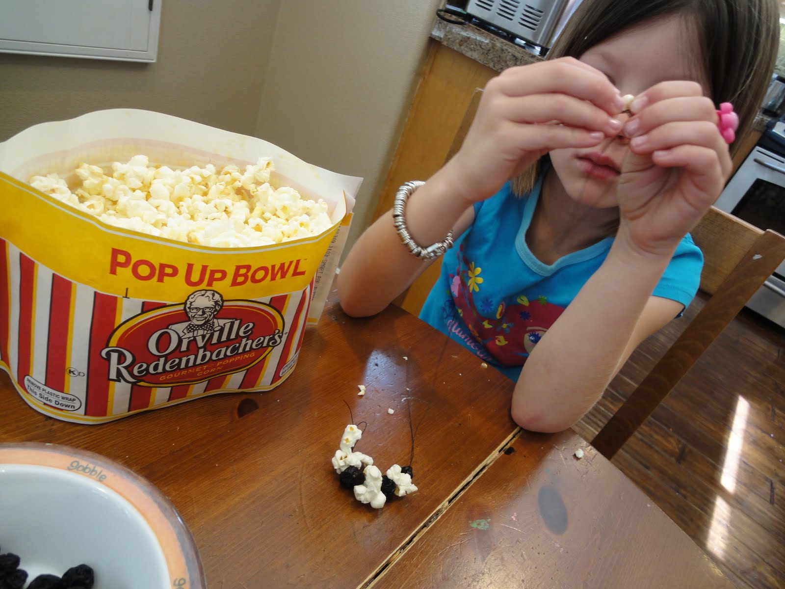 OC Mom Blog Nature Craft Make a popcorn bird feeder