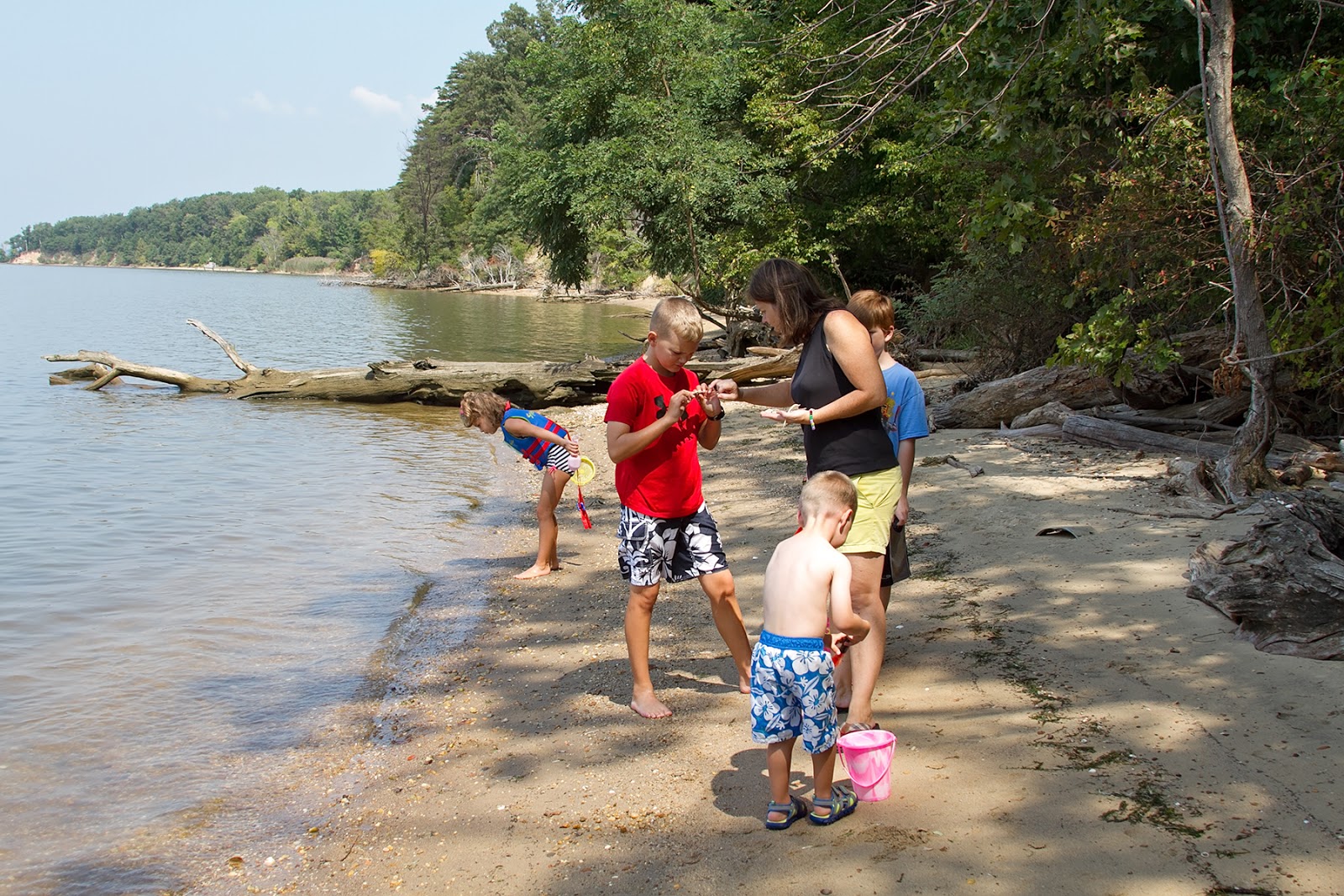 The Cullinan Family Fossil Hunting at Purse State Park