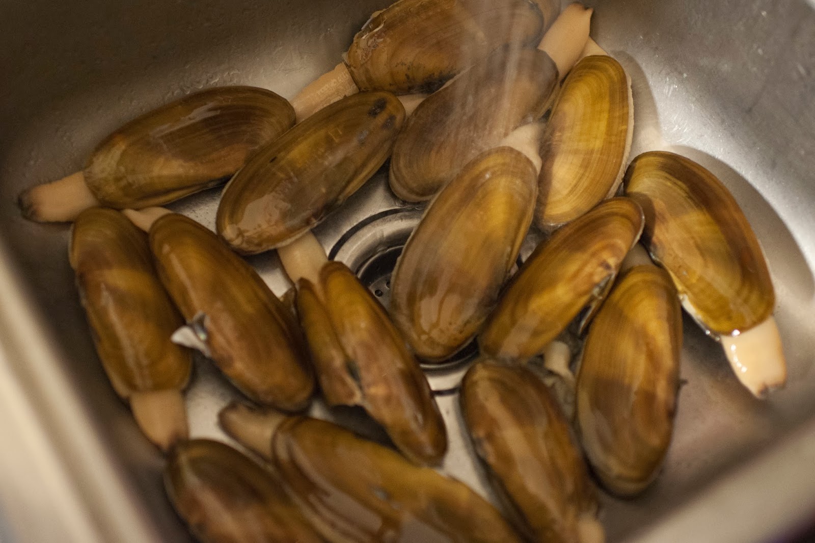 Spartan Fishing & Outdoors Tutorial Cleaning and preparing Razor Clams