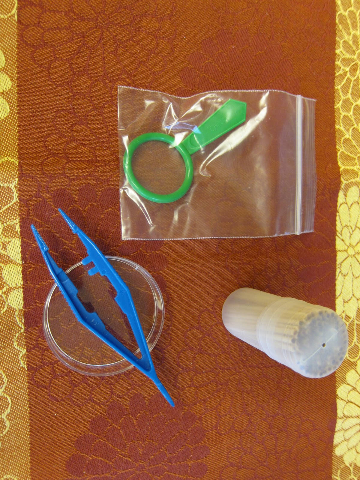 Thanks for today. Seeds Need a Seed Keeper...and You!