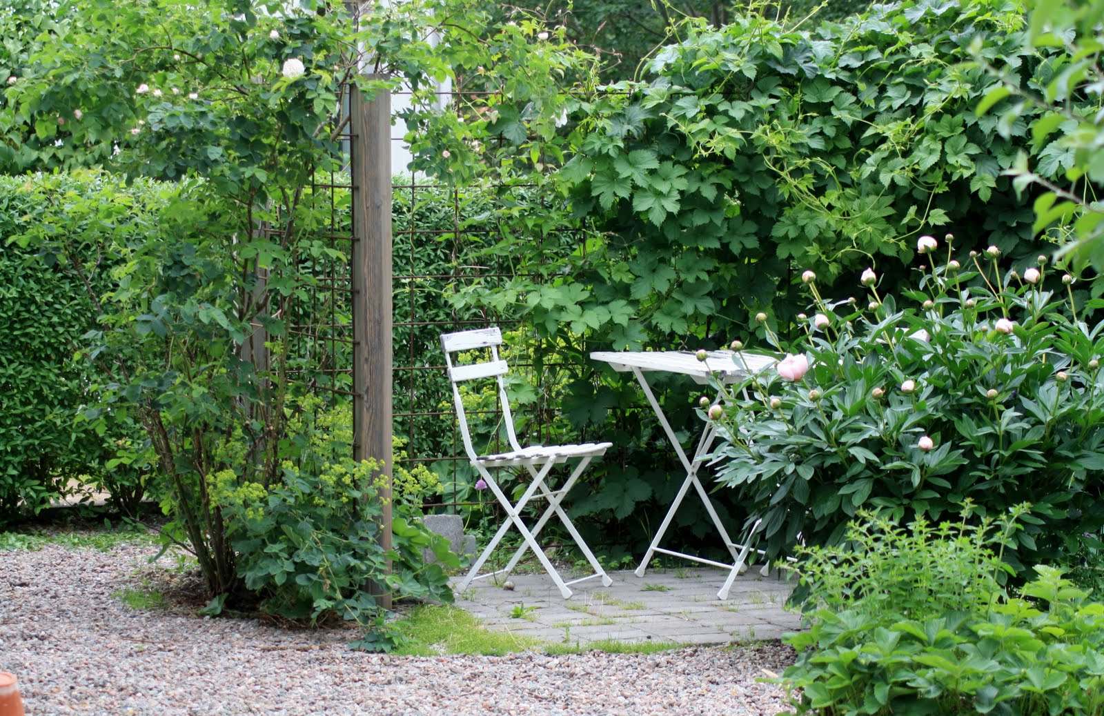 Trädgård på berget: i midsommartid