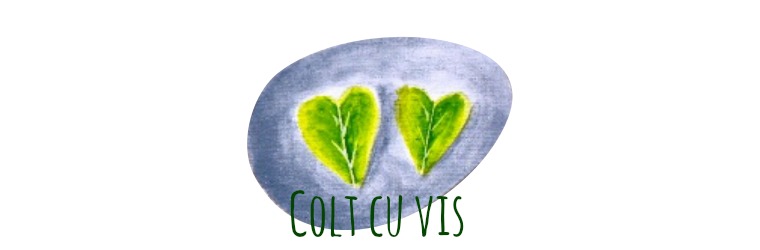 Colt cu vis