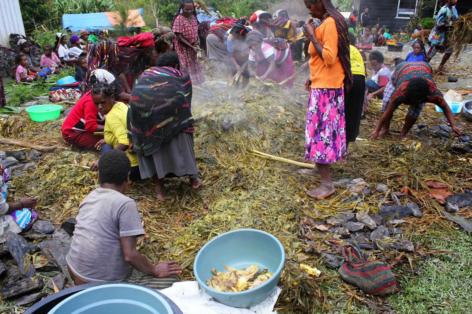 trippluzz Tolikara, Wamena Papua