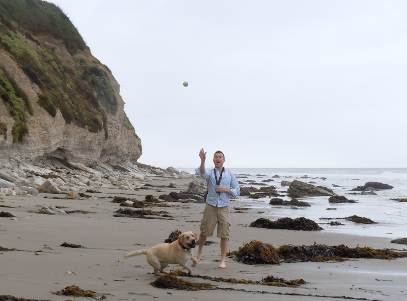Hednry's Dog Beach Santa Barbara