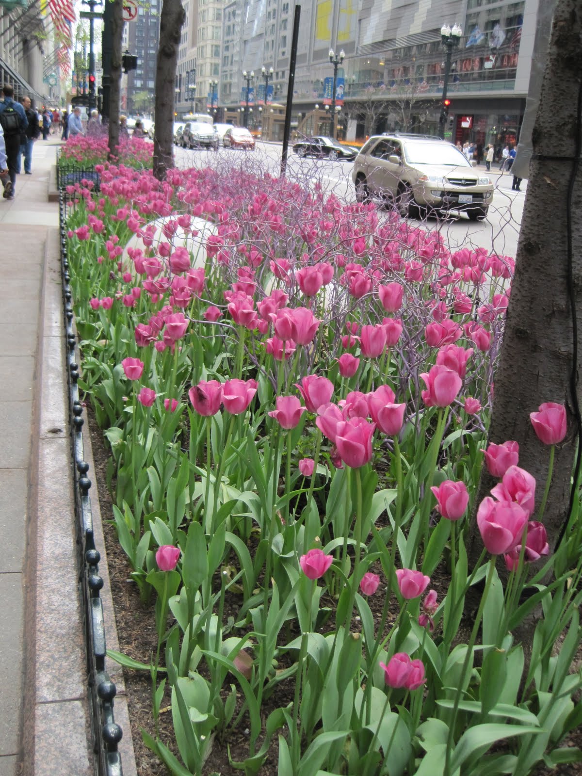 Wright in the Garden Chicago in Bloom!