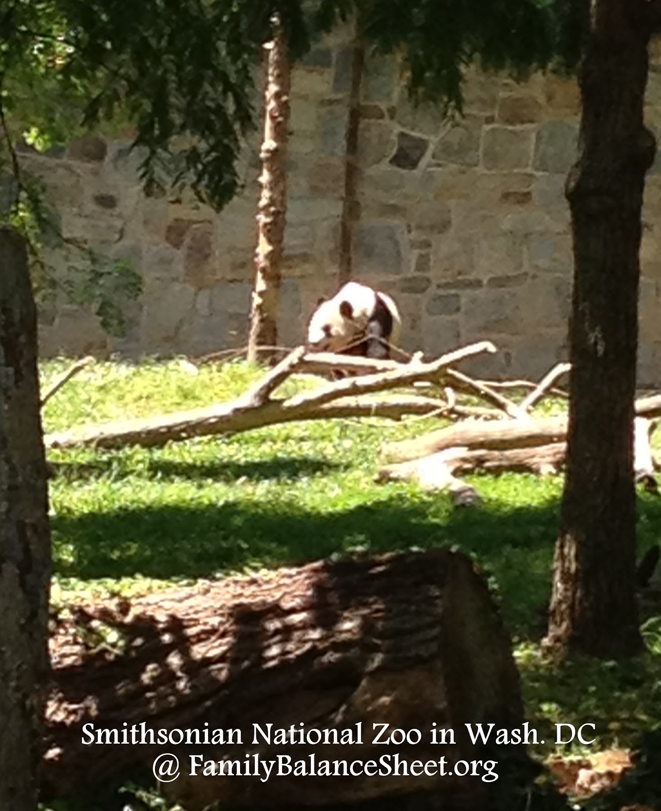 Family Trip to the Smithsonian National Zoo in Washington, D.C. Family Balance Sheet
