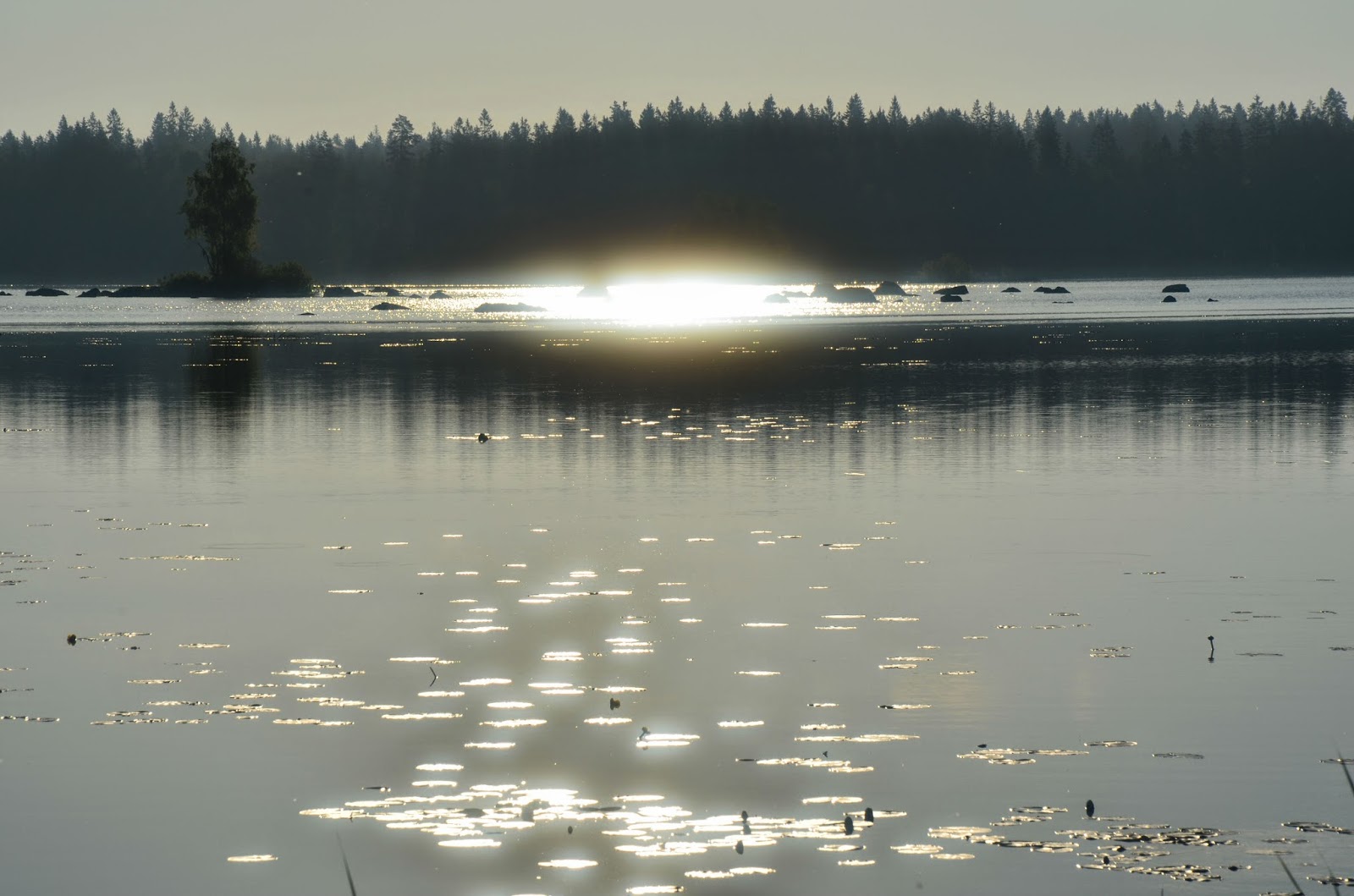 Varm och härlig morgon