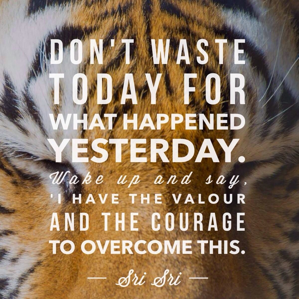 quote on
