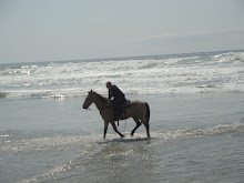 the Oregon Coast, 2011