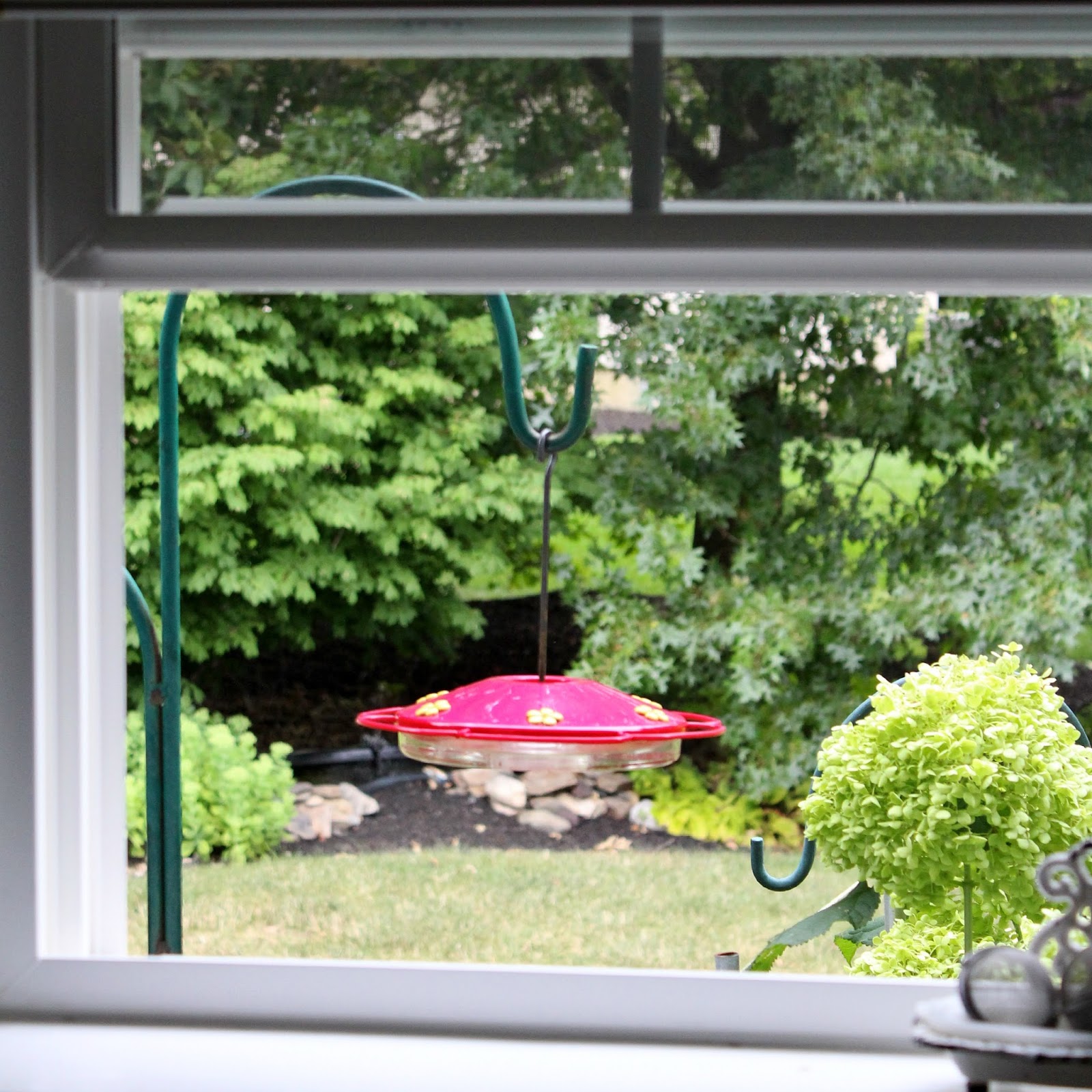 hummingbirds and feeders grateful prayer thankful heart hummingbirds and feeders grateful prayer thankful heart