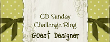 CD Sunday Challenge Blog