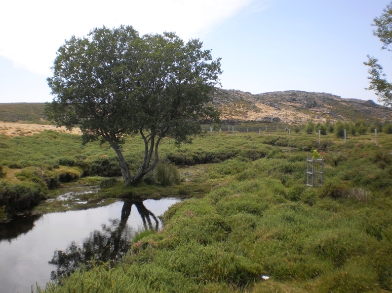 Paz e tranquilidade e água limpinha para tomar banho