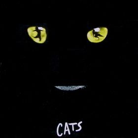 Cats The Moments Of Happiness Memory Cats The Moments Of Happiness Memory