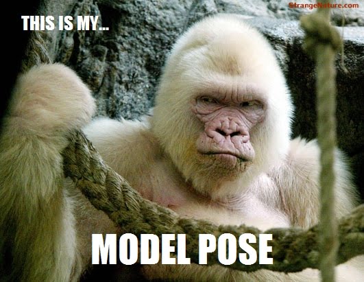 Hairstyles Cuts Tips Funny Animals With Funny Sayings